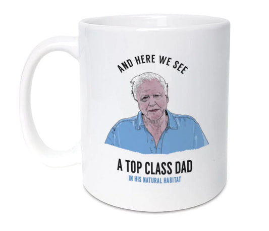 Father's Day Mug (H)