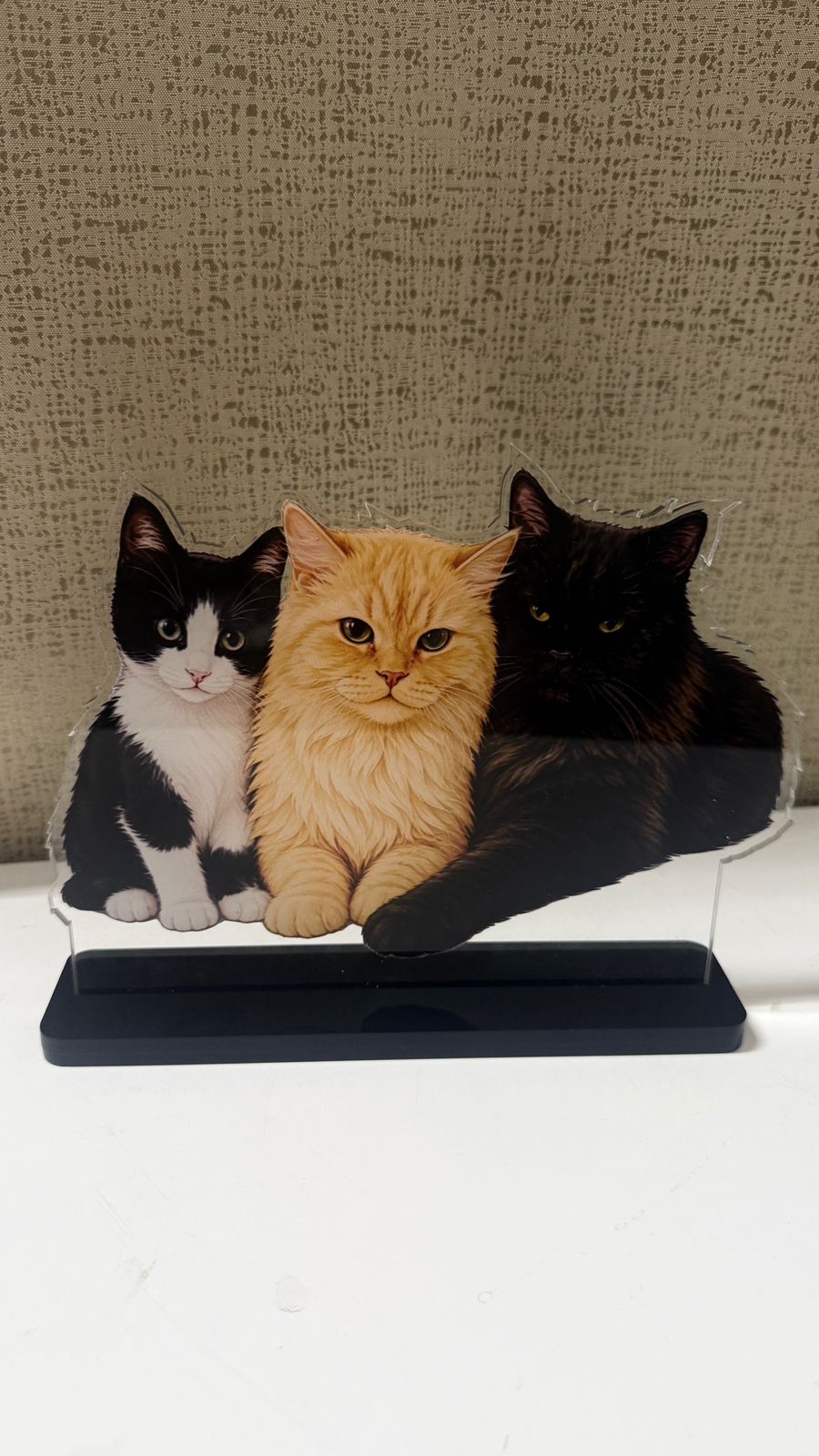 Personalized Acrylic Pet Desk Standee